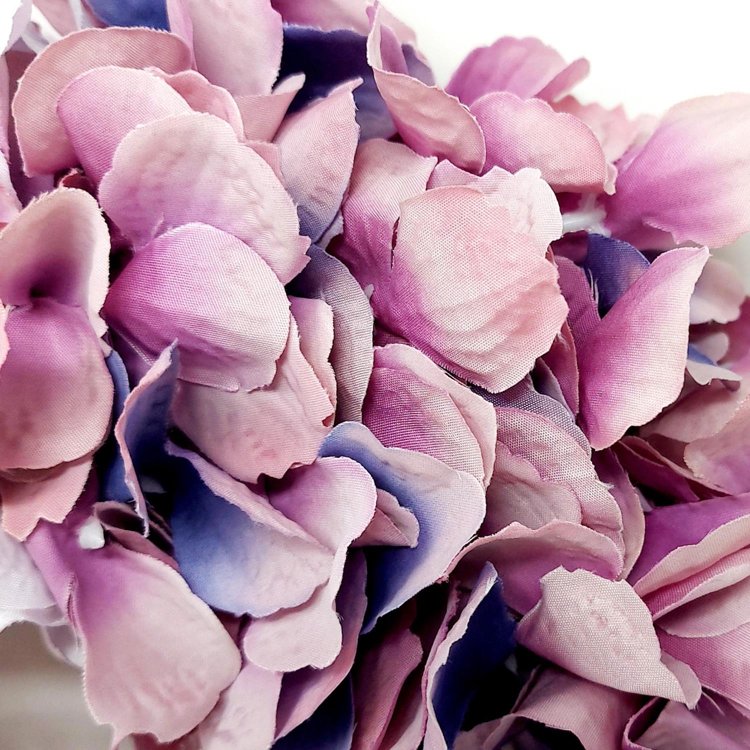 Bunte Blütenblätter in verschiedenen Rosa- und Lilatönen, dicht beieinander angeordnet.