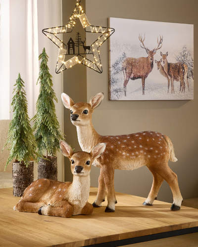 Hirsche & Rehe