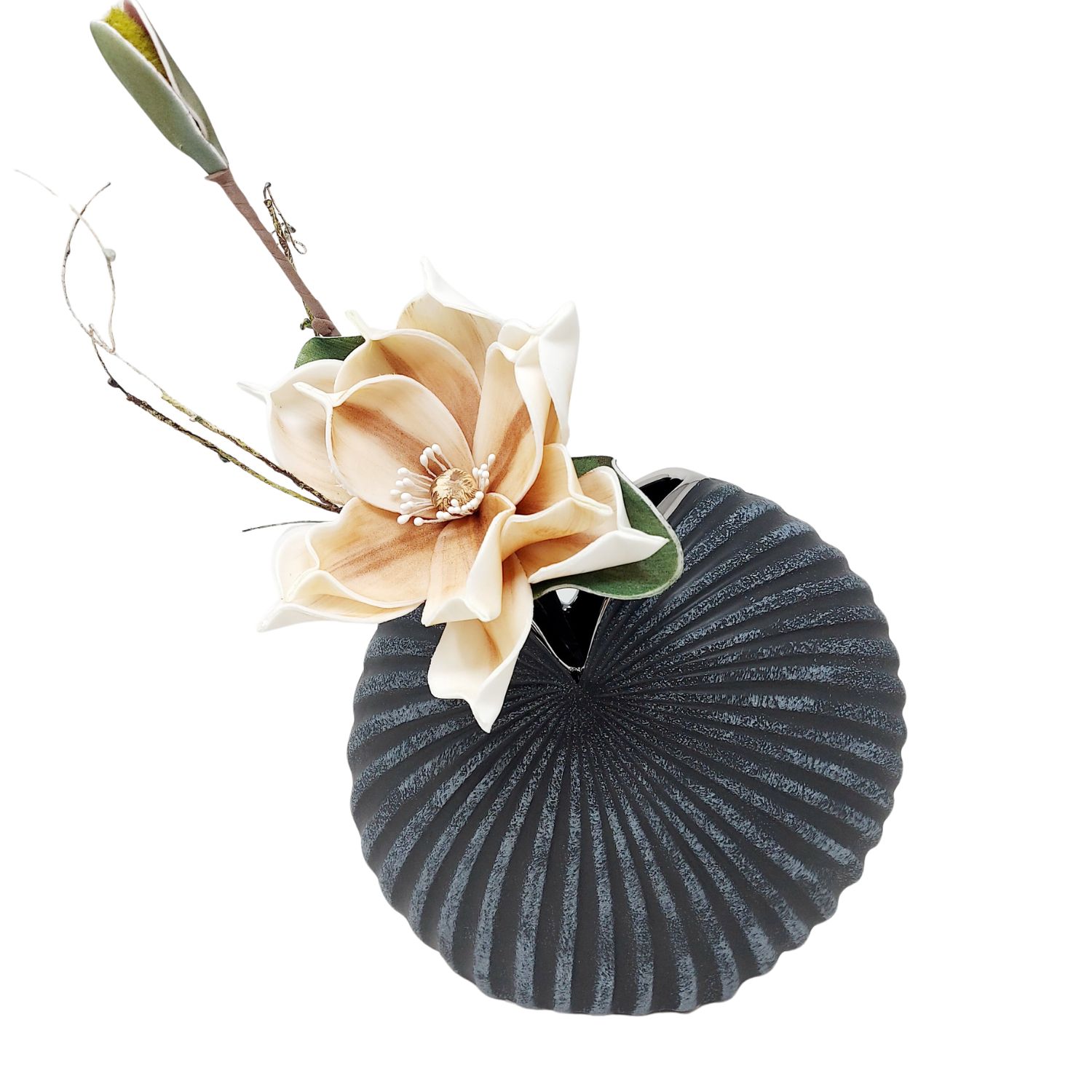 Beige Blüte mit Zweigen in einer runden, gerillten schwarzen Vase vor weißem Hintergrund