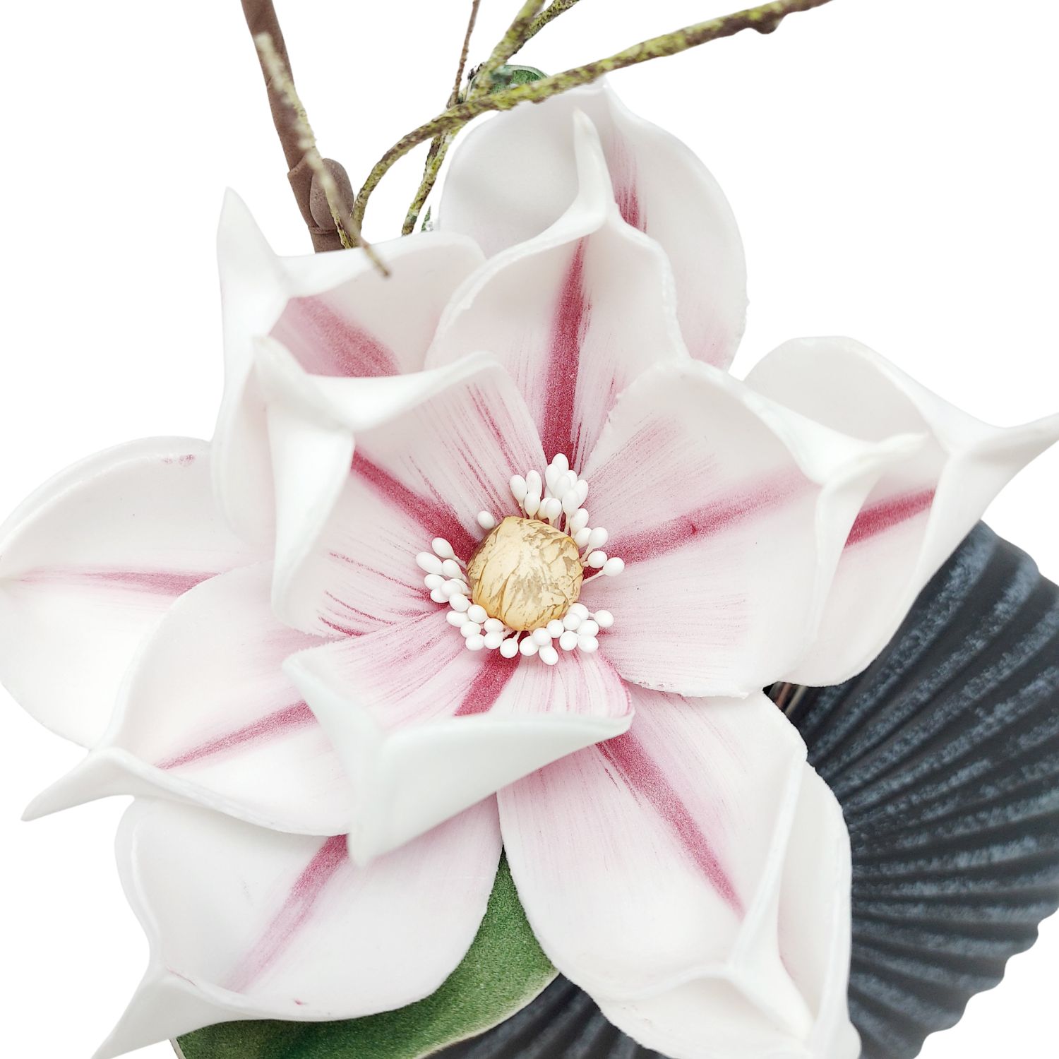 Nahaufnahme einer weißen Blüte mit rosa Adern und goldfarbenem Zentrum, daneben ein dunkles Blatt