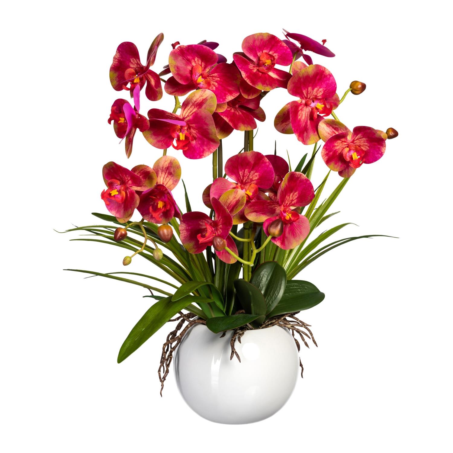 Bunte Orchideen in einer weißen Vase, umgeben von grünen Blättern und Wurzeln. Die Blüten sind in verschiedenen Rottönen.