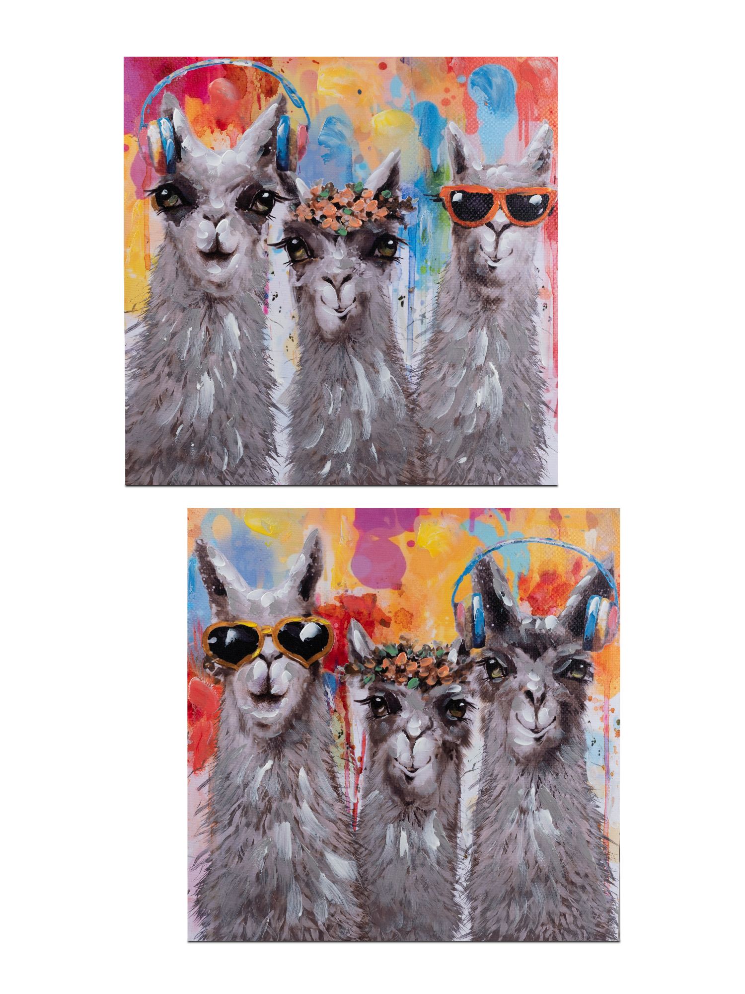 2er Set Wandbilder ALPAKAS COLORS auf Leinwand 60x60cm bunt von FORMANO
