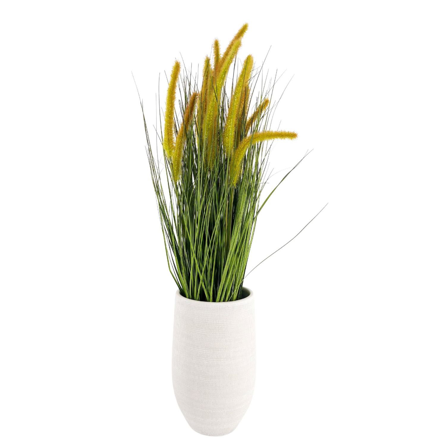 Topf mit gelben und grünen Pflanzen auf weißem Hintergrund