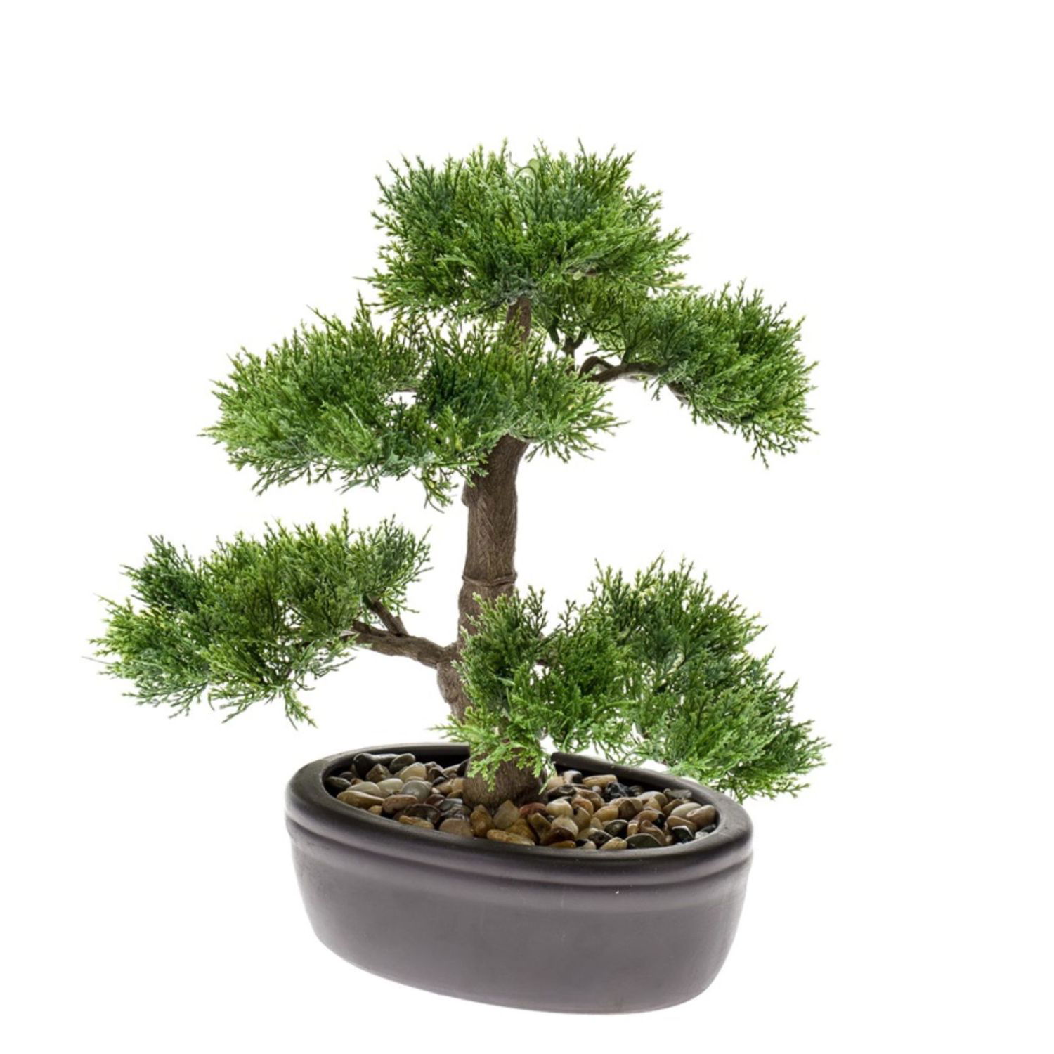 Bonsai-Baum mit grünen Blättern in einem runden, schwarzen Topf, umgeben von kleinen Steinen.