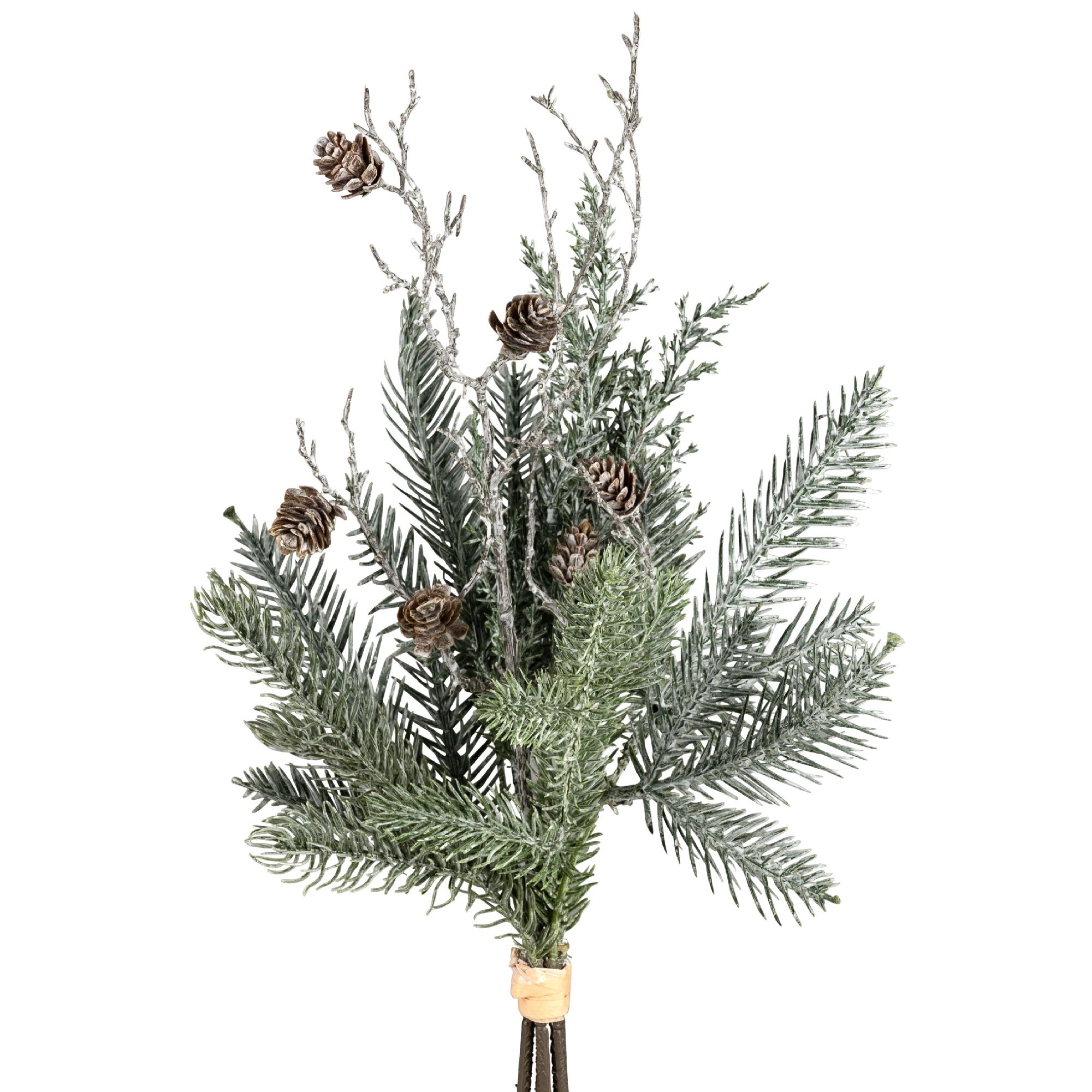 Ein Arrangement aus grünen Tannenzweigen und Tannenzapfen auf hellem Hintergrund.