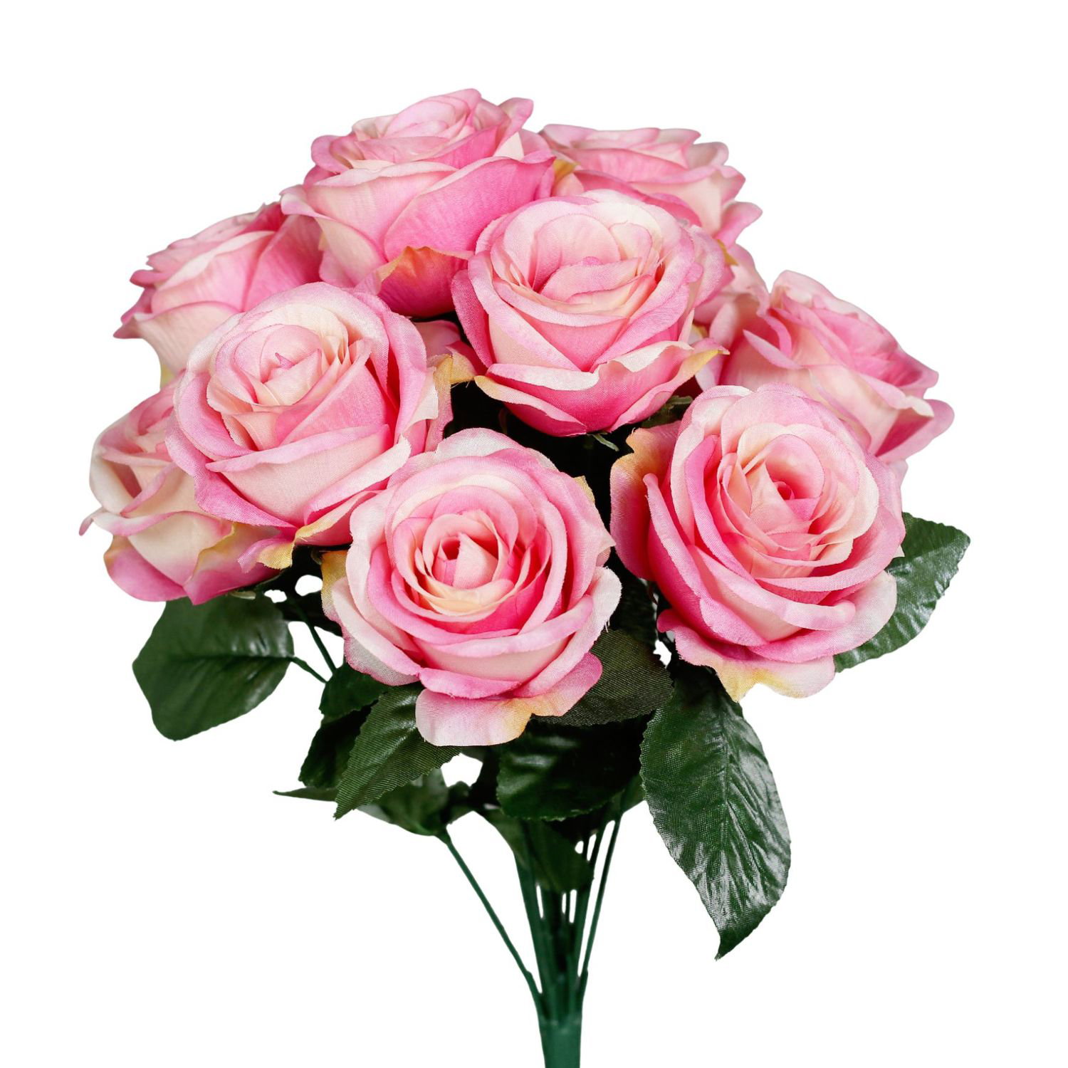 Strauß rosa Rosen mit grünen Blättern vor weißem Hintergrund