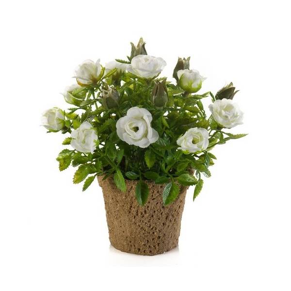 künstliche Mini Rosen im Topf weiß Höhe 13cm Topf 7cm von EMERALD Kunstblumen