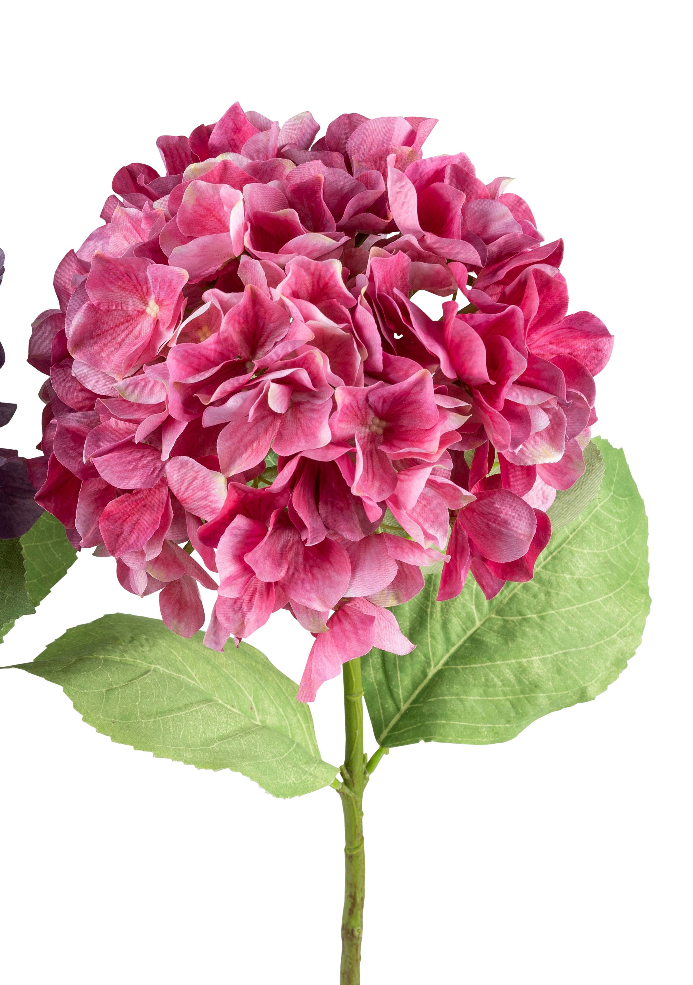 künstliche Hortensie mit großer Blüte pink Höhe 72cm, von Formano Kunstblumen