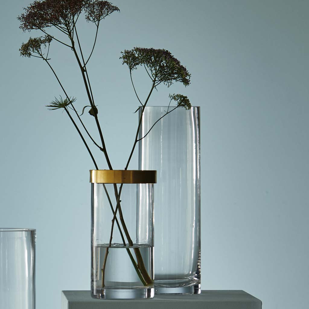 Zwei transparente Vasen mit Wasser und Pflanzen, eine Vase hat einen goldenen Ring, vor einer hellblauen Wand.
