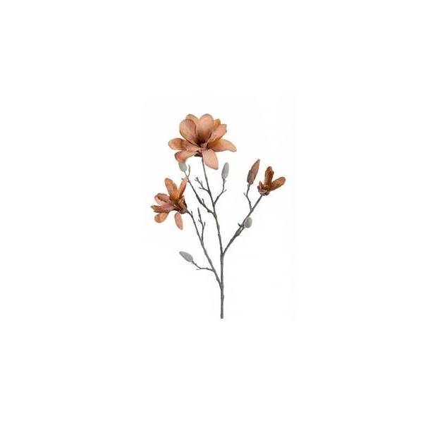 künstliche Magnolie frosted beige braun Höhe 85cm Emerald