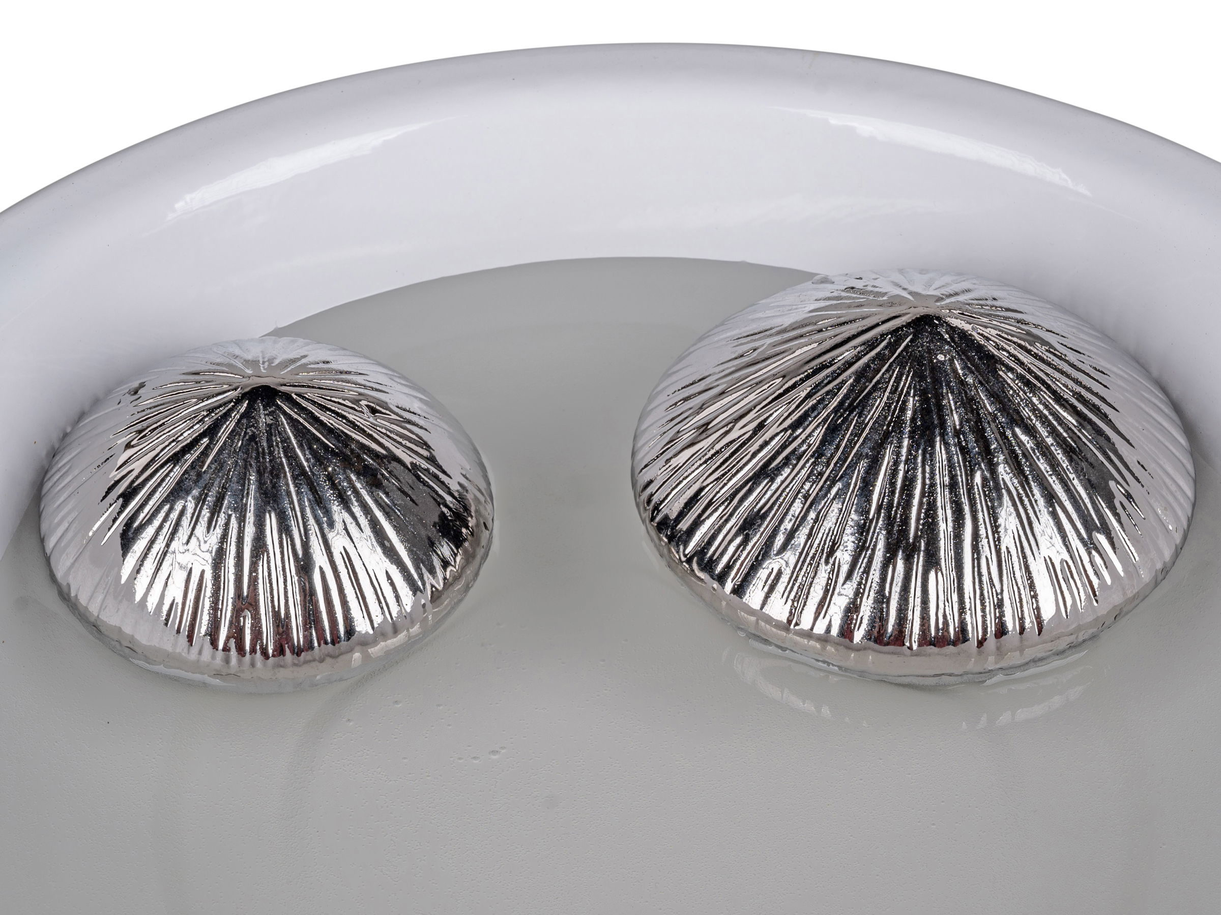 Zwei silberne, gewölbte Objekte mit strahlenförmiger Struktur schwimmen in klarem Wasser in einer weißen Schüssel.