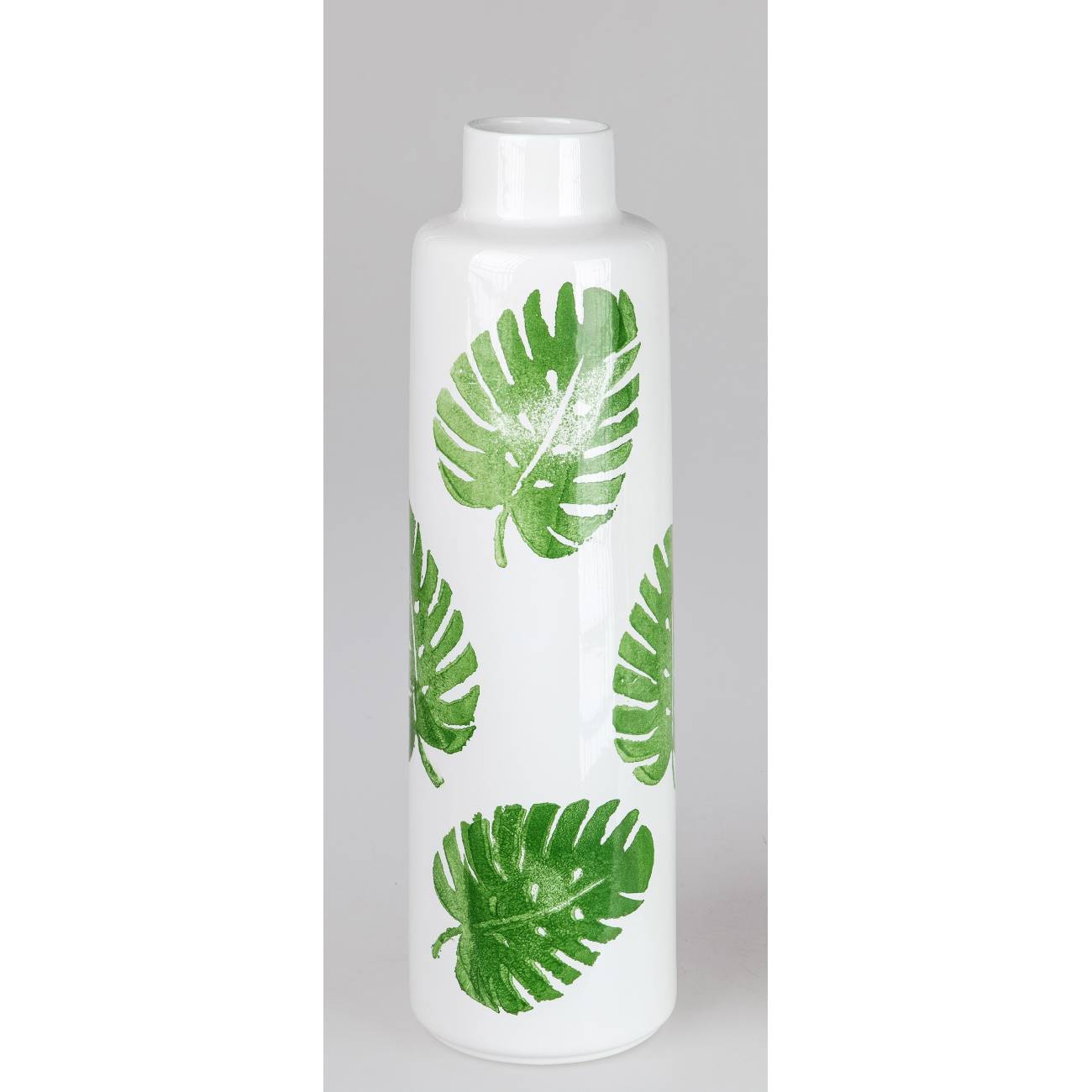monstera skvostná Semena: Monstera deliciosa – Kvítka v bytě main image 0