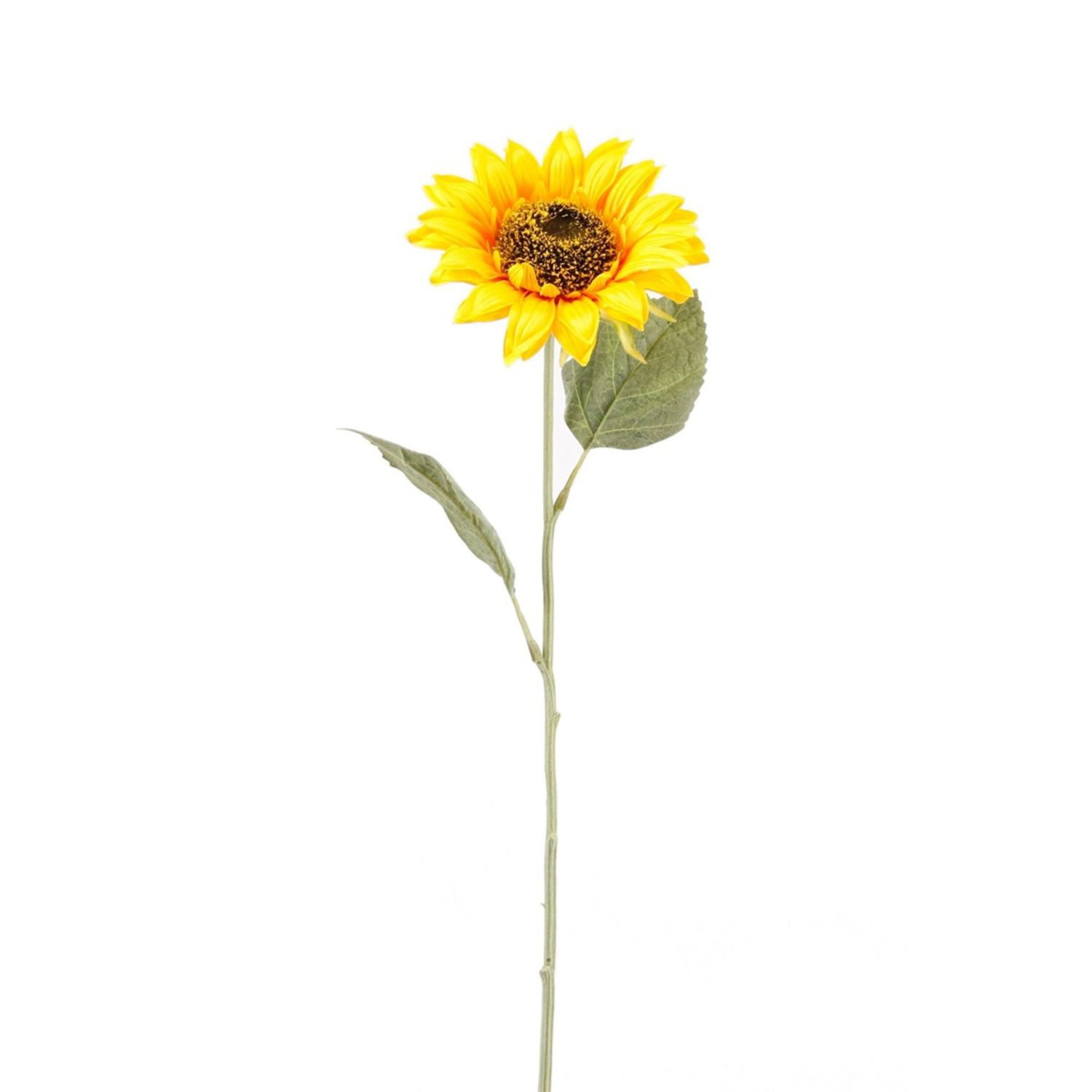 Eine Sonnenblume mit gelben Blütenblättern und grünen Blättern auf einem Stängel