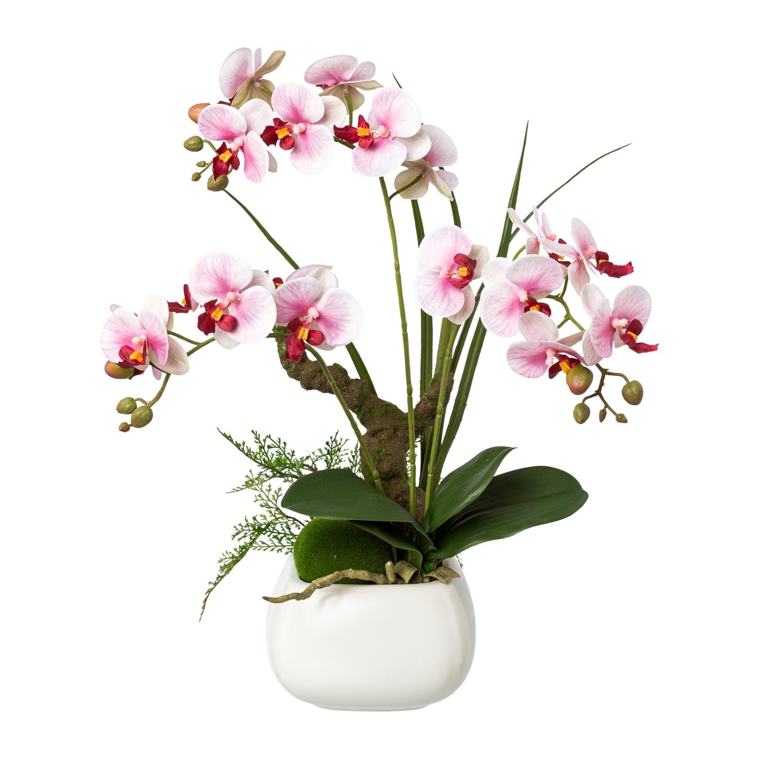 Ein Arrangement aus rosa Orchideen in einem weißen Topf, umgeben von grünen Blättern und einer kleinen Pflanze.