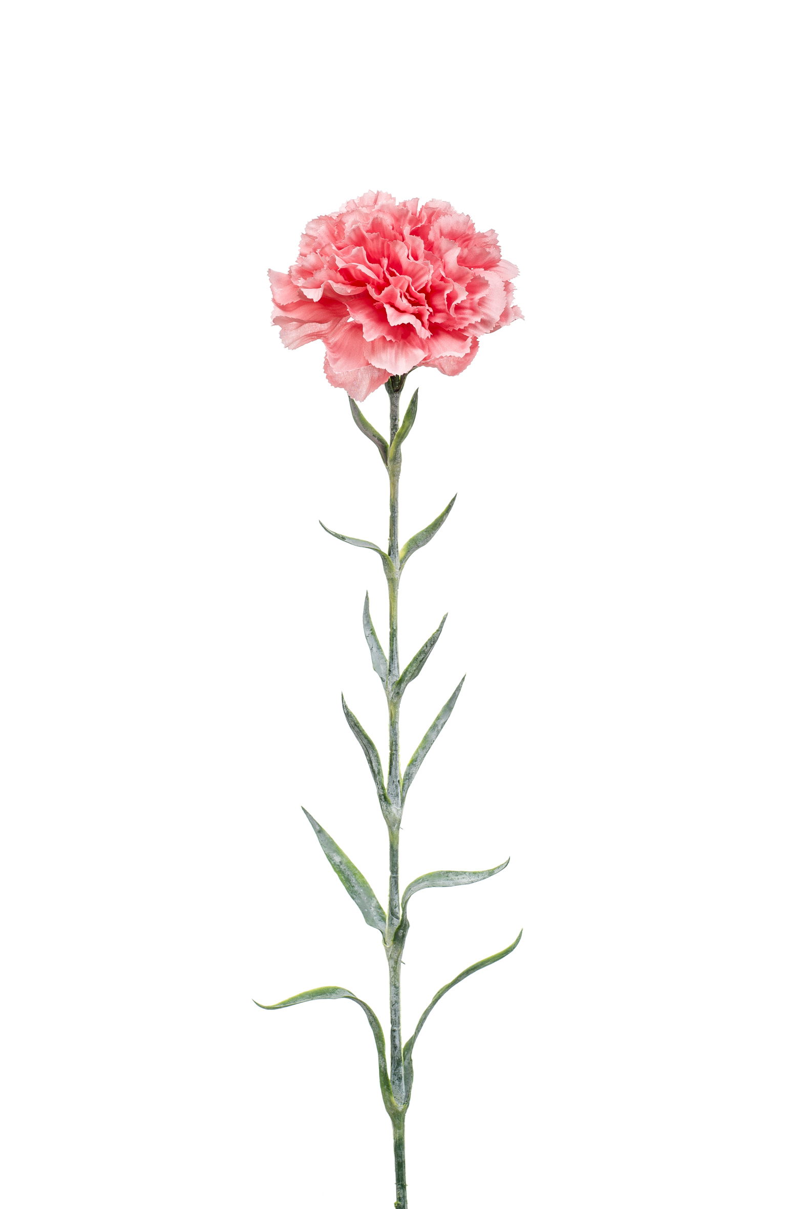 künstliche Nelke Dianthus spray Höhe 67cm rosa von EMERALD Kunstblumen