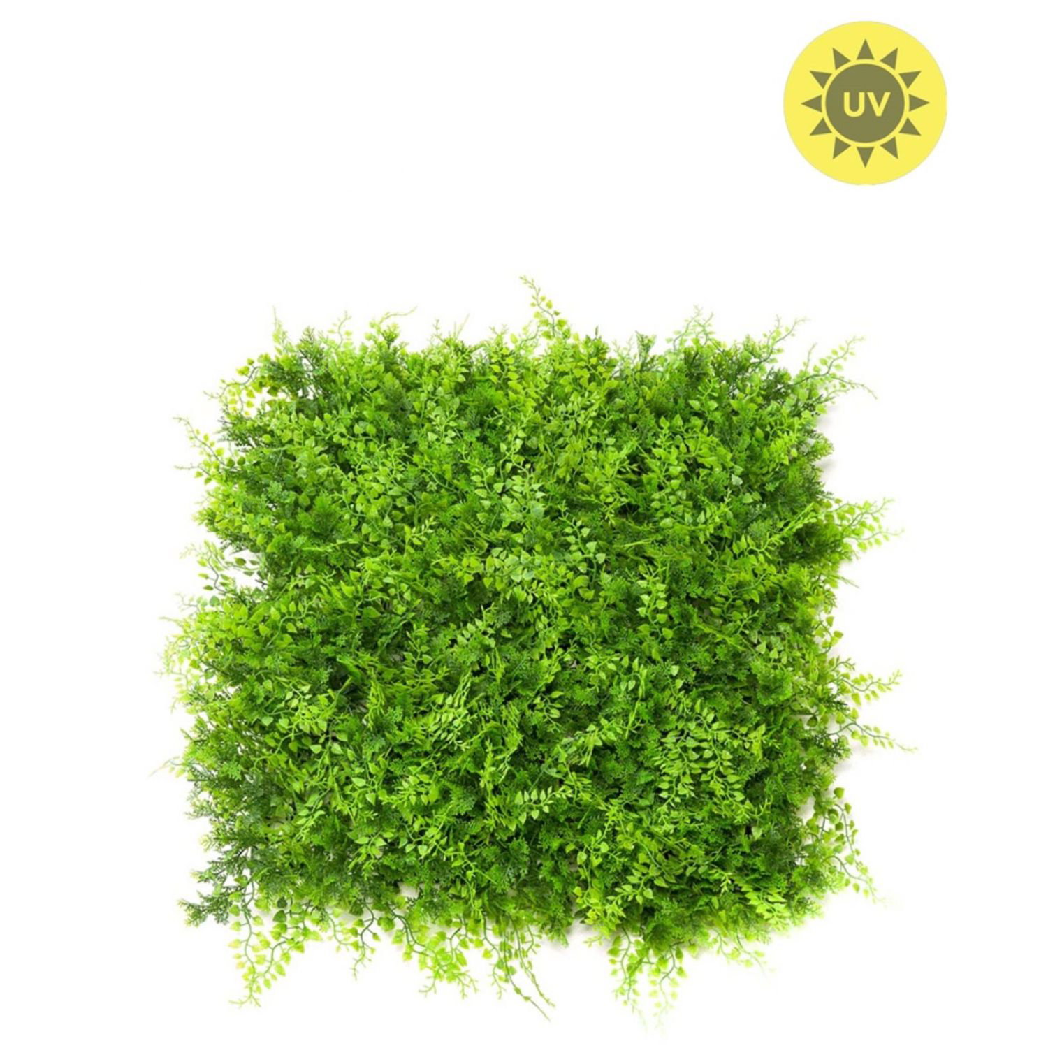 Grüne, künstliche Pflanze in quadratischer Form auf weißem Hintergrund