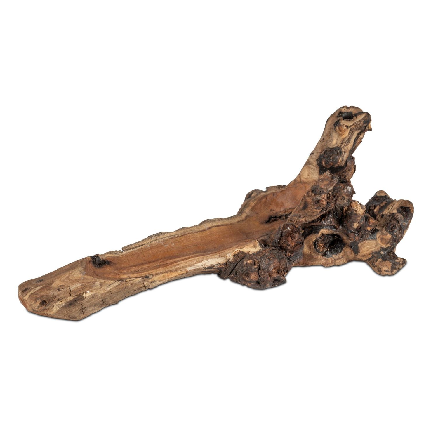 Ein Stück Holz mit unregelmäßiger Form und dunklen, knorrigen Stellen
