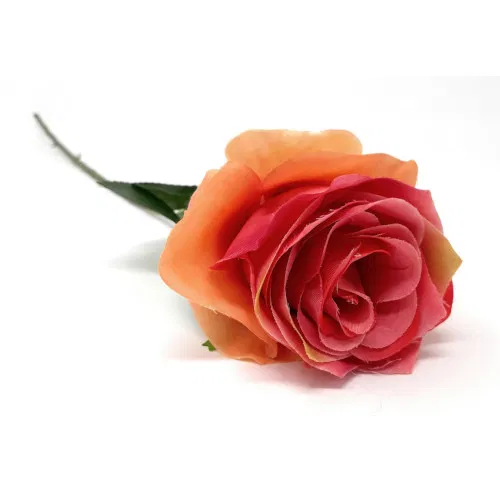 Rosen