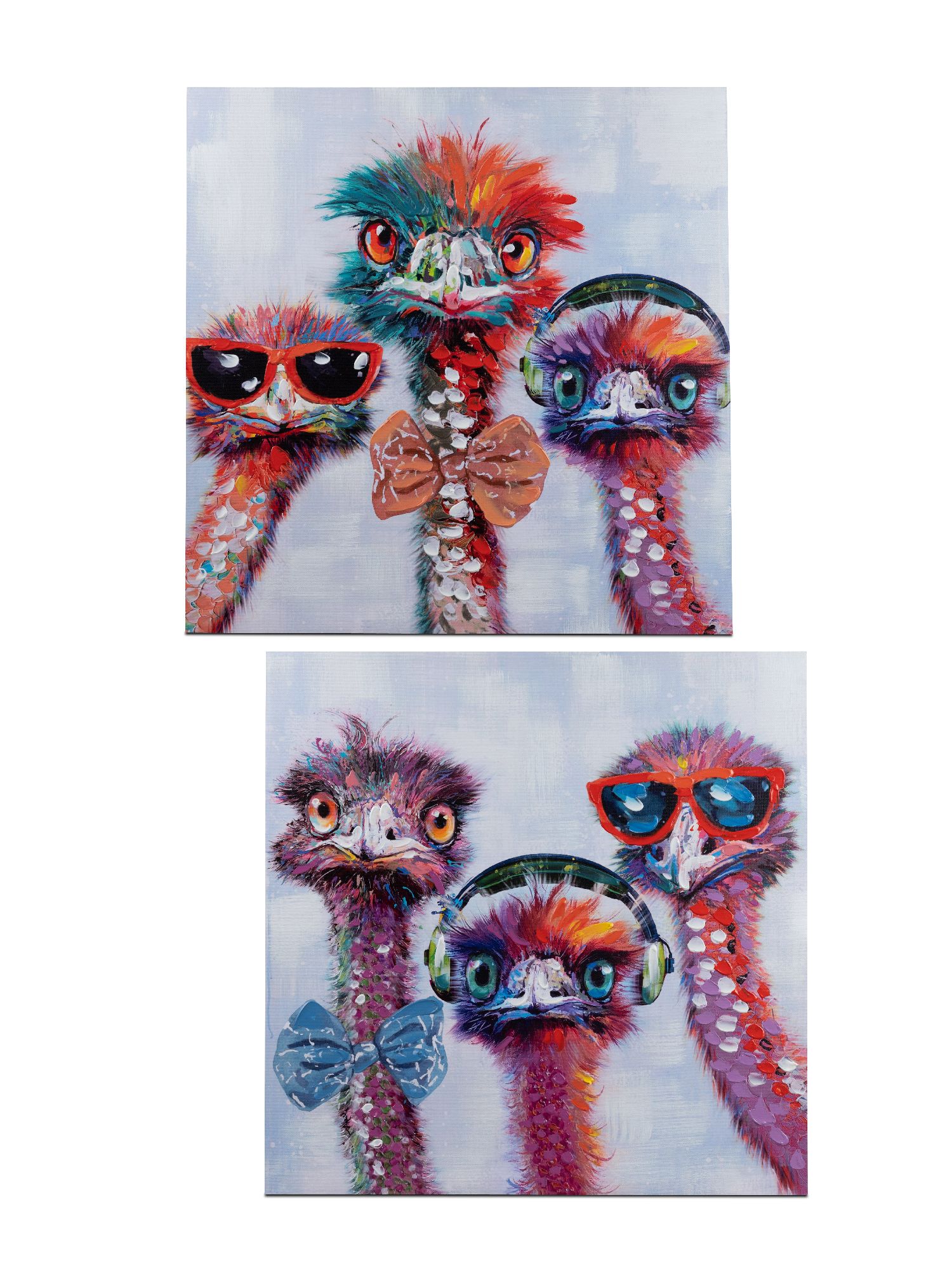 2er Set Wandbilder lustige STRAUß Köpfe COLORS auf Leinwand 60x60cm von FORMANO