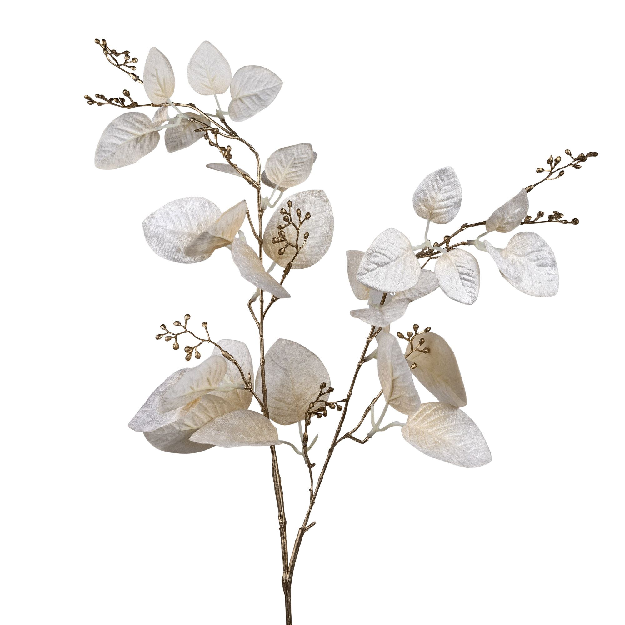 Zweig mit hellen, strukturierten Blättern und kleinen, runden Früchten auf einem schlichten, hellen