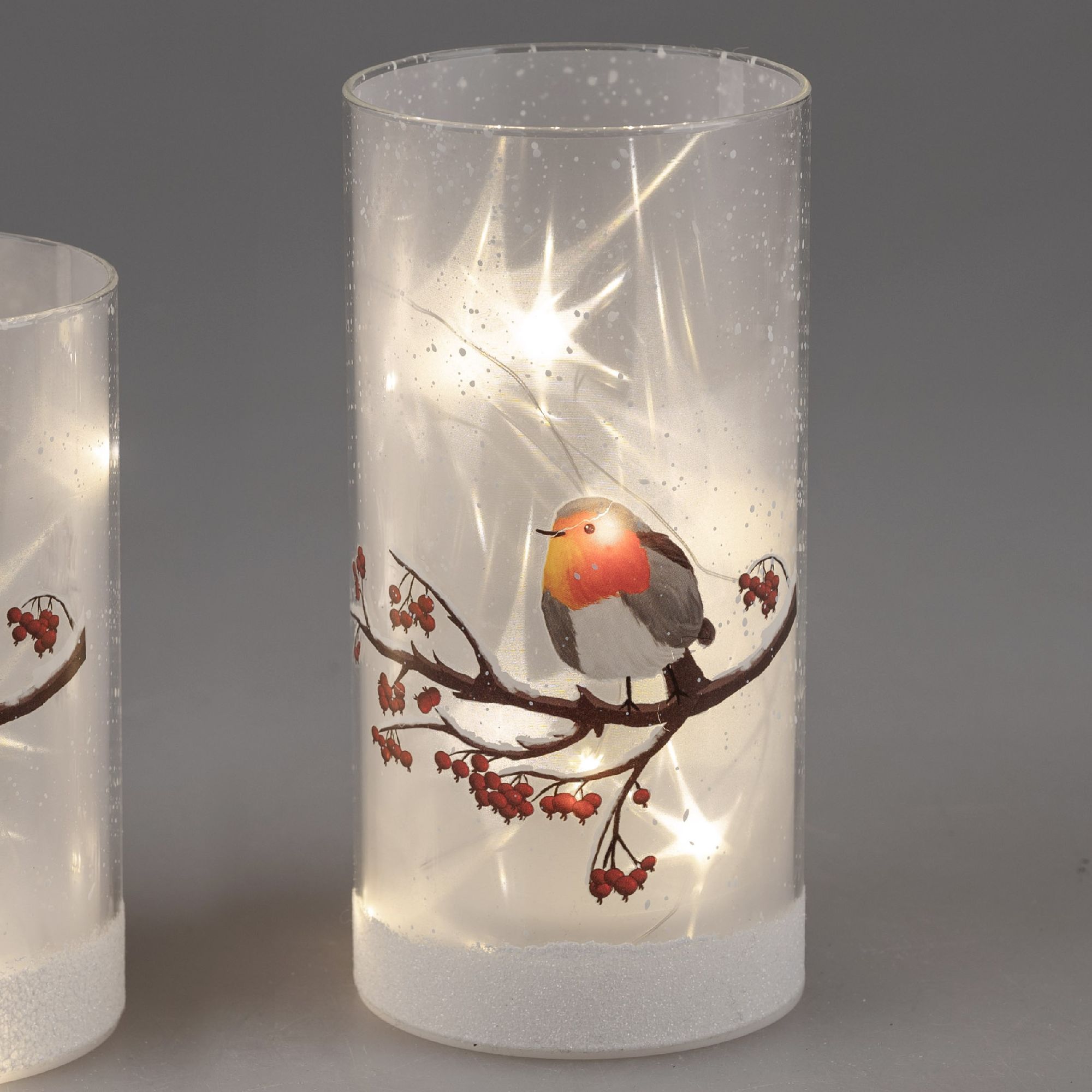 Zwei transparente Laternen mit einem Vogelmotiv auf einem Ast und roten Beeren, beleuchtet von innen