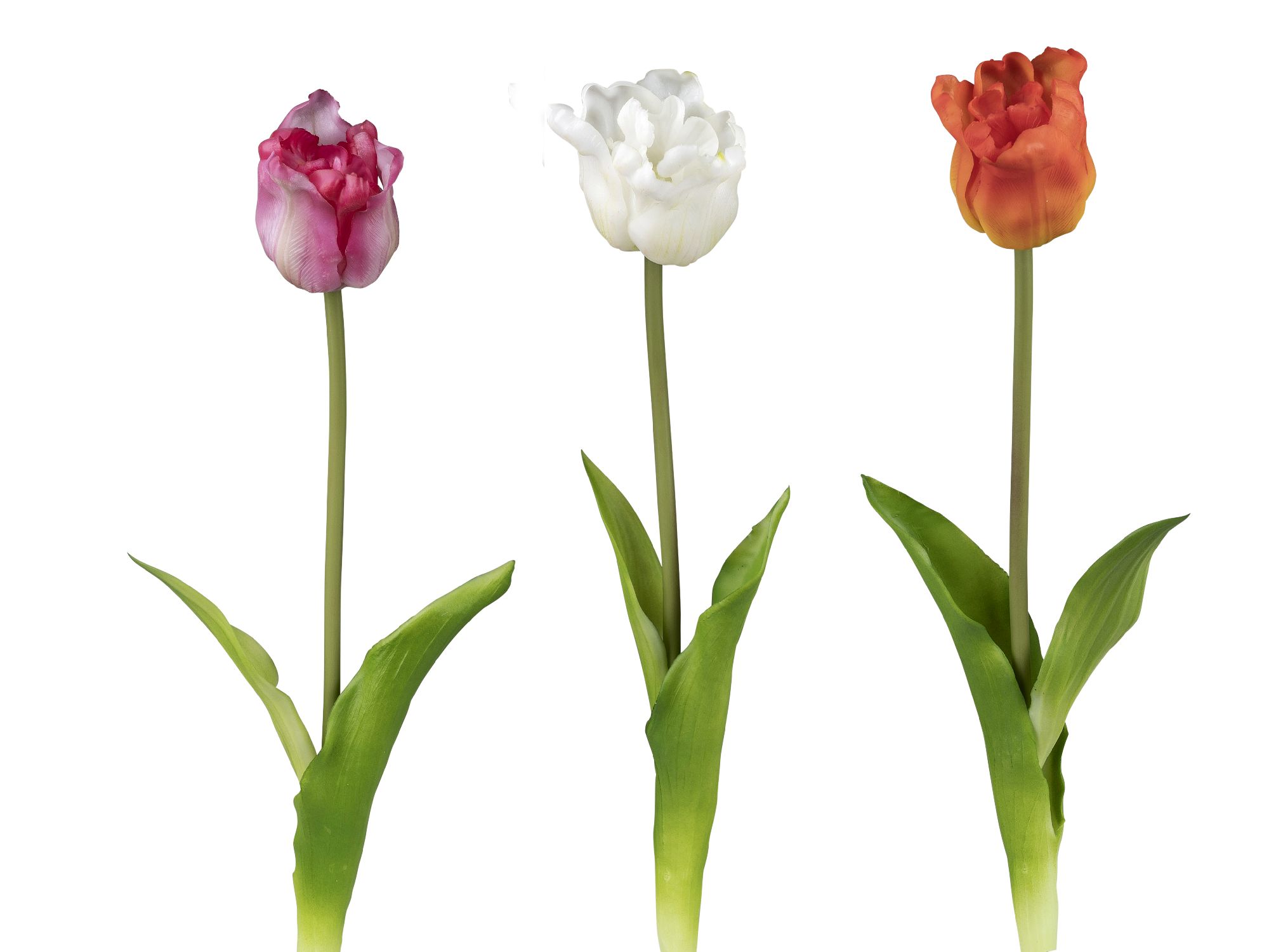 Drei Tulpen in verschiedenen Farben: pink, weiß und orange, stehen auf langen Stielen mit grünen Blättern.